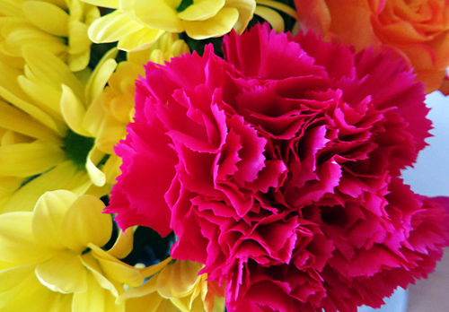 blumen3