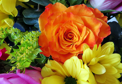 blumen4